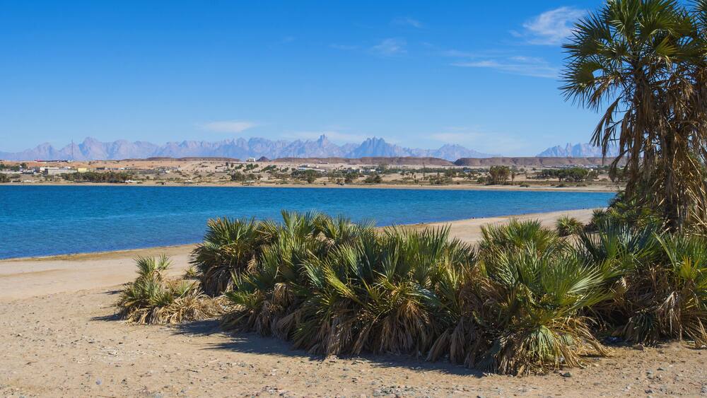 Coastal Scene, Near Duba; Tabuk, Saudi Arabia