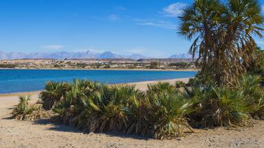 Coastal Scene, Near Duba; Tabuk, Saudi Arabia