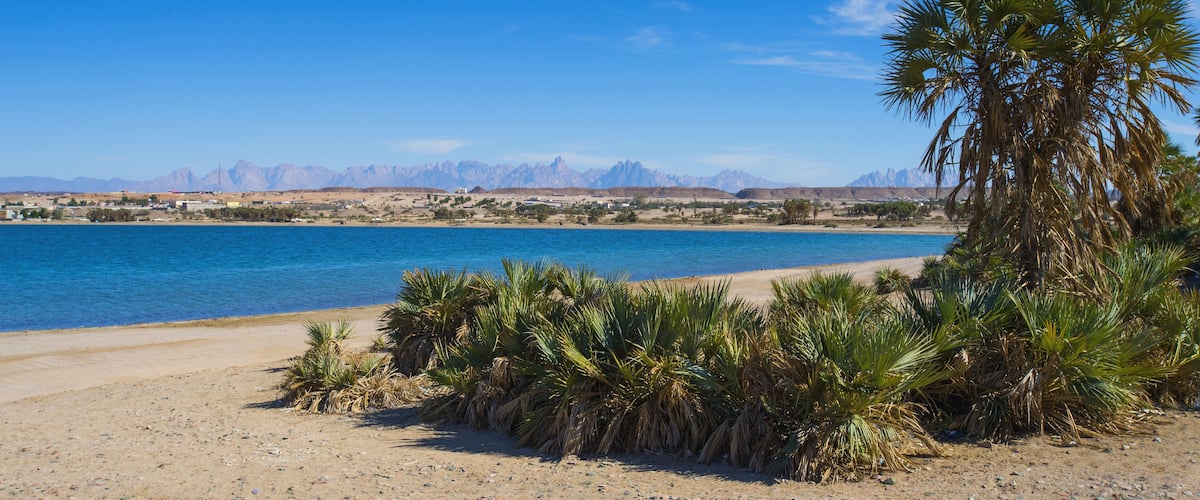 A beach with palm trees, a clear blue sea, and distant mountains.
