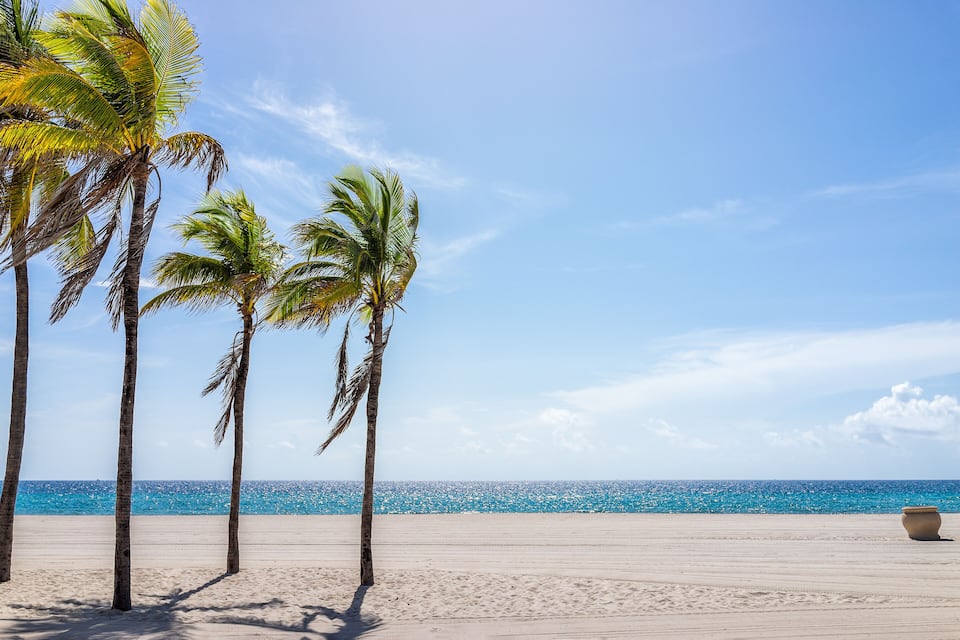 A beach with palm trees and a clear blue sky.