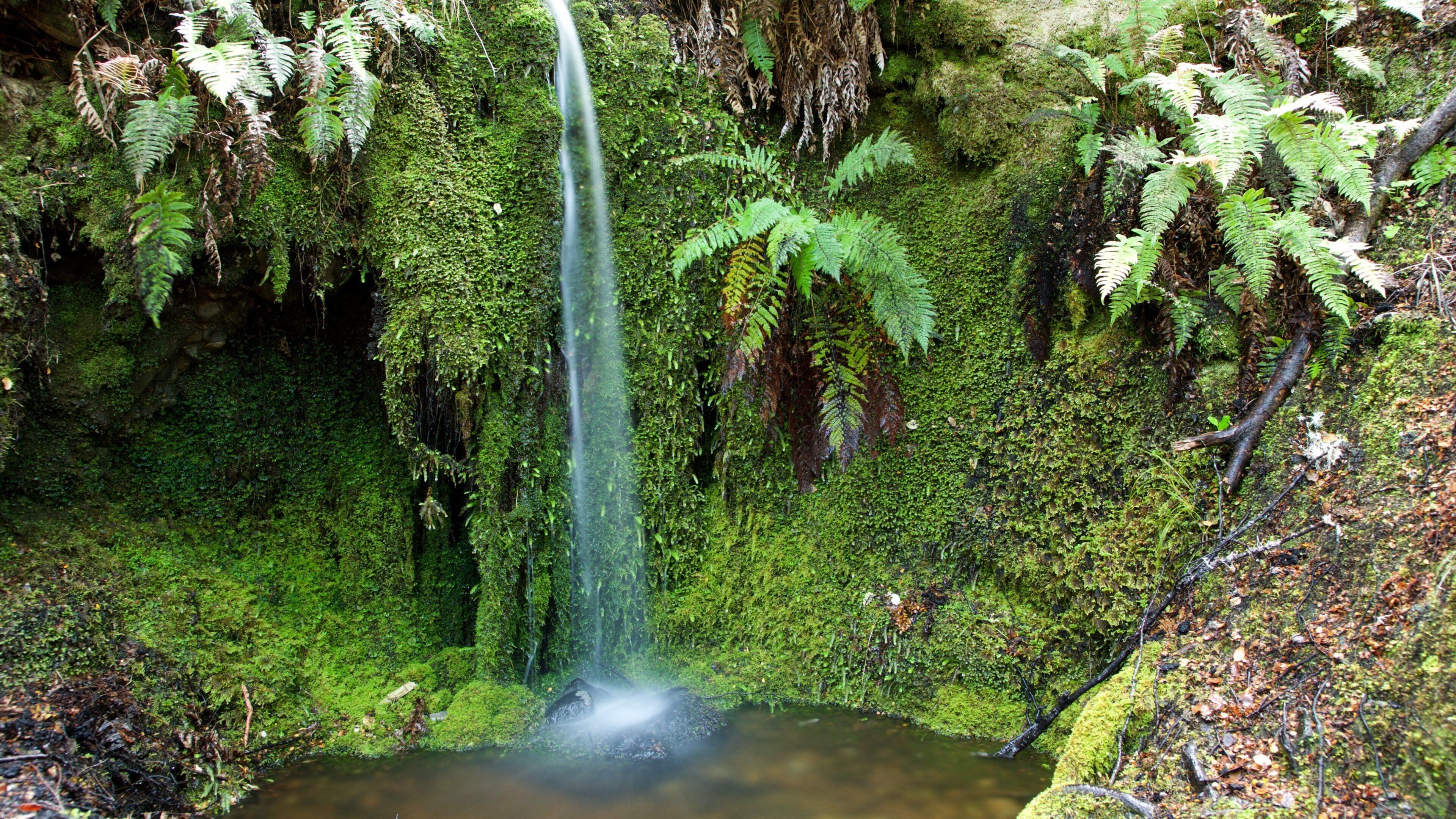 Tasman Region which includes a cascade