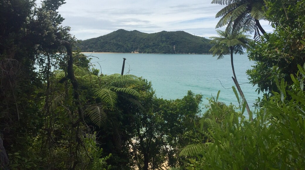 Where the kayaking tour stopped for lunch. Had an awesome lunch and then had time to walk around a little and get some amazing views