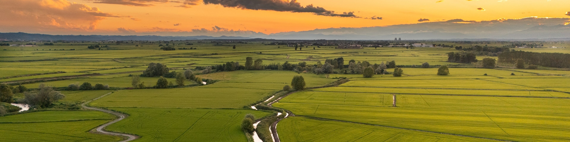 Dramatic Aerial View of Rice Fields at Sunset, Vercelli. Aerial drone shot of green rice paddies and winding irrigation canals in Vercelli province, Piedmont, Italy. Dramatic sky with colorful sunset