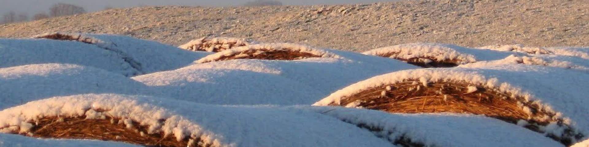 Winter view of Little Cobbler and Big Cobbler Mountains