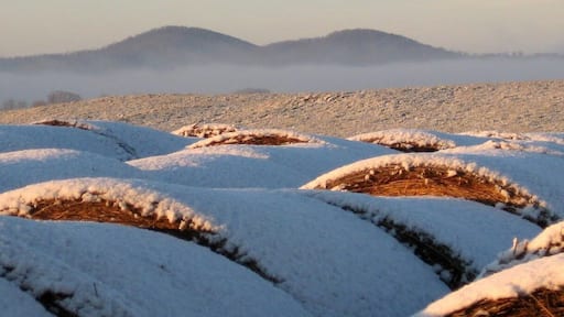 Winter view of Little Cobbler and Big Cobbler Mountains