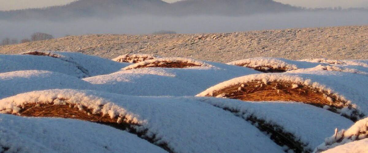 A snowy landscape with rolling hills and a clear sky.