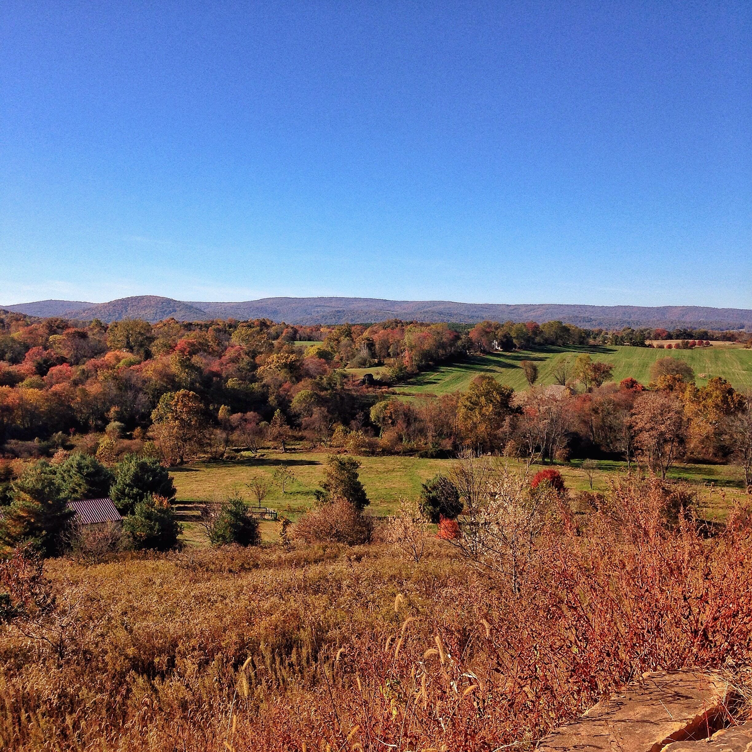 A rural landscape with rolling hills, autumn-colored trees, and a clear blue sky.