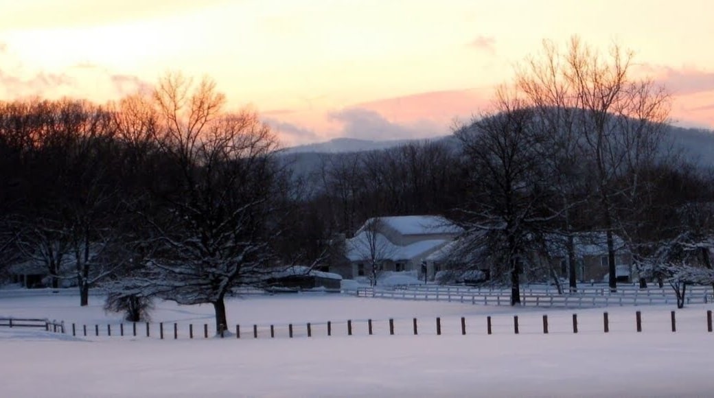 Sunset view after one of the largest snowfalls on record ~32"-36"
February 2010