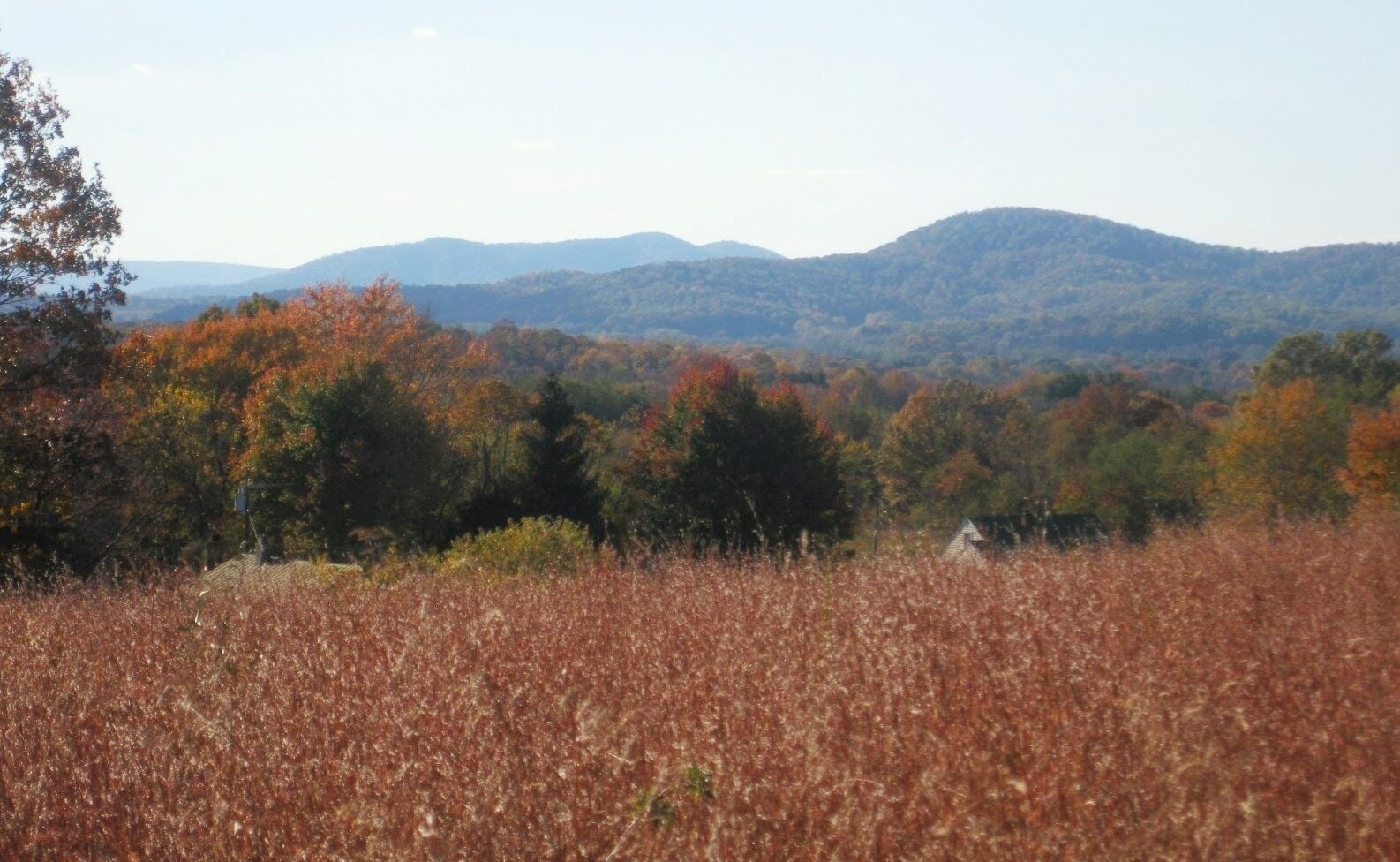 Stephenson's Hill
Marshall, VA
Looking towards the Blue Ridge Mountains. October 2012.