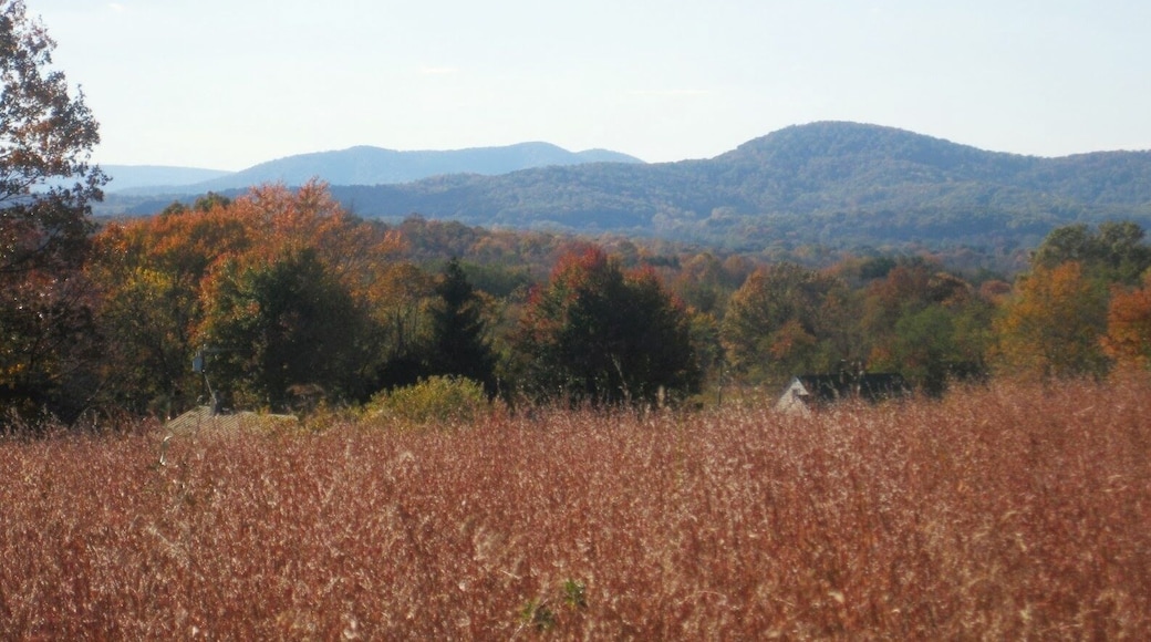 Stephenson's Hill
Marshall, VA
Looking towards the Blue Ridge Mountains. October 2012.