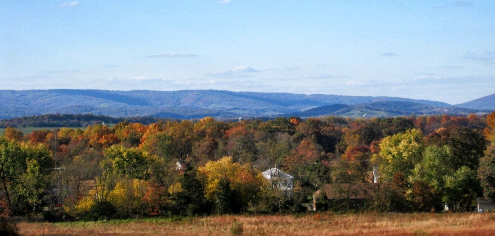Stephenson's Hill. Marshall, VA
Looking NW- Blue Ridge Mountains. October 2012.