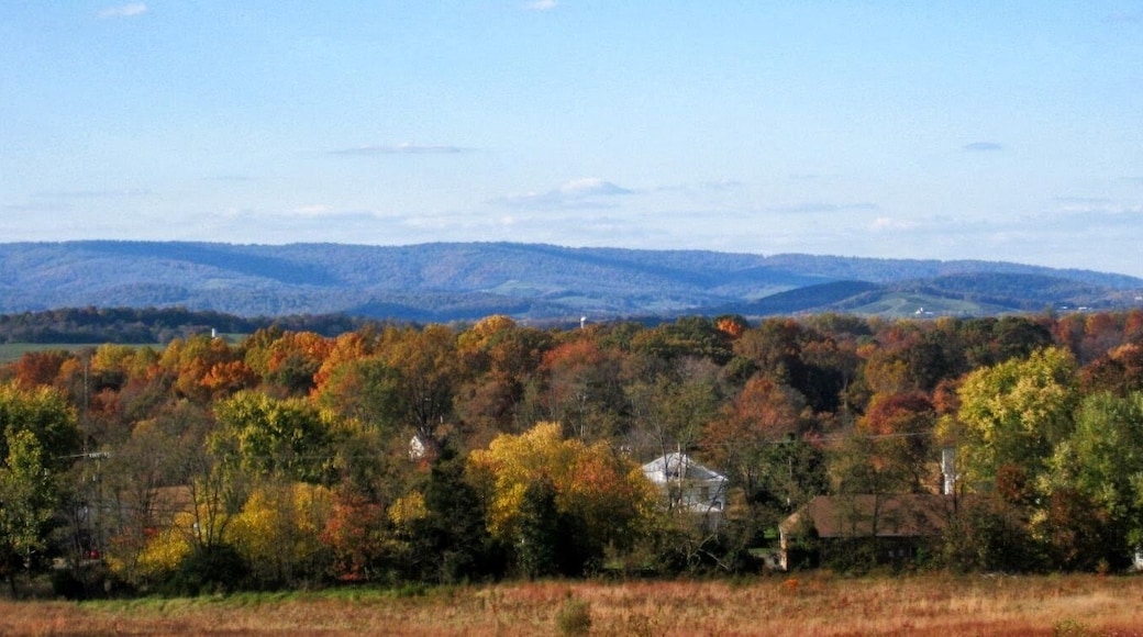 Stephenson's Hill. Marshall, VA
Looking NW- Blue Ridge Mountains. October 2012.