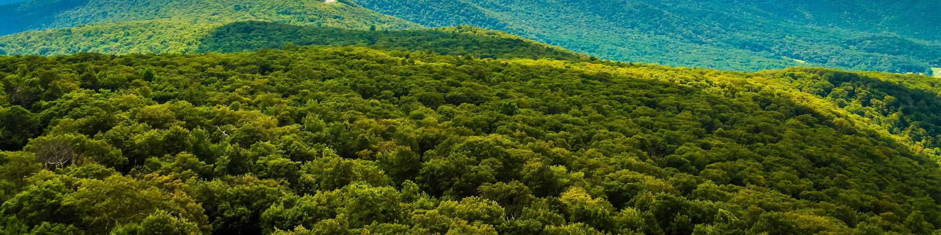 View of the Blue Ridge Mountains from South Marshall, in Shenand