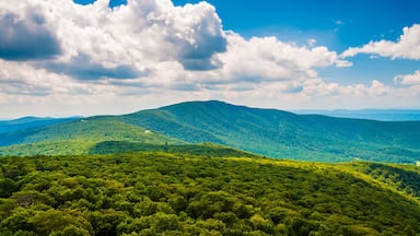 View of the Blue Ridge Mountains from South Marshall, in Shenand