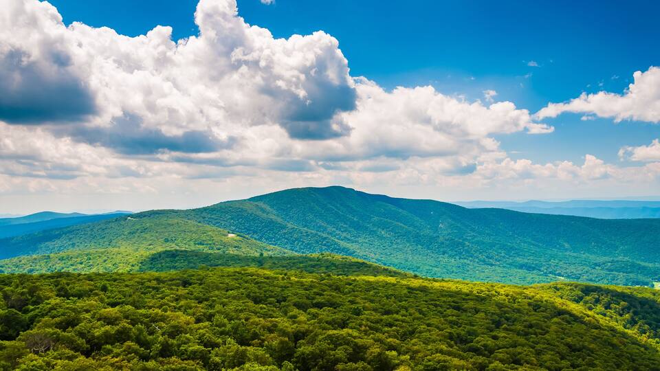 A mountainous landscape with dense green forests and a clear blue sky with fluffy clouds.
