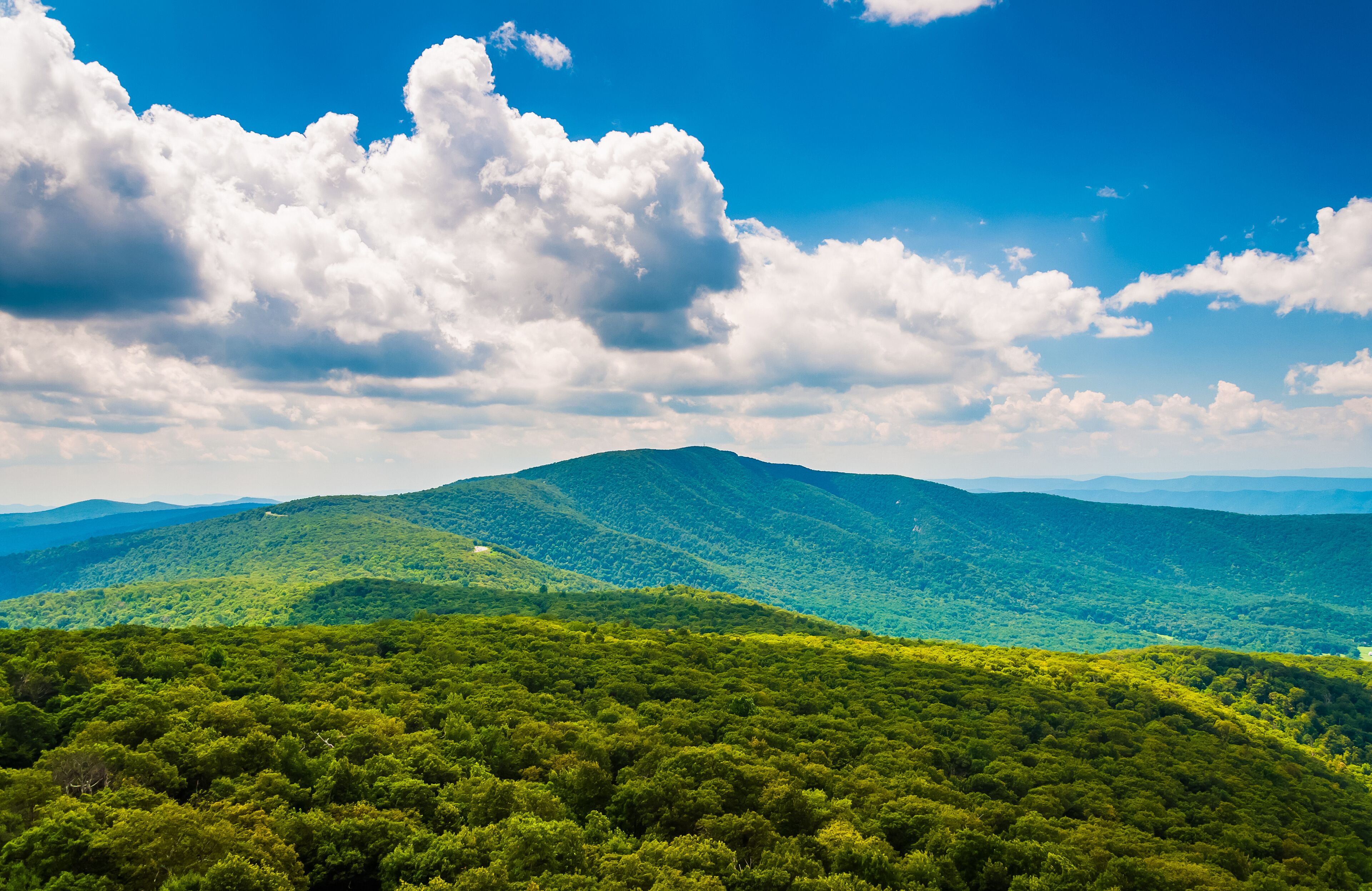 A mountainous landscape with dense green forests and a clear blue sky with fluffy clouds.