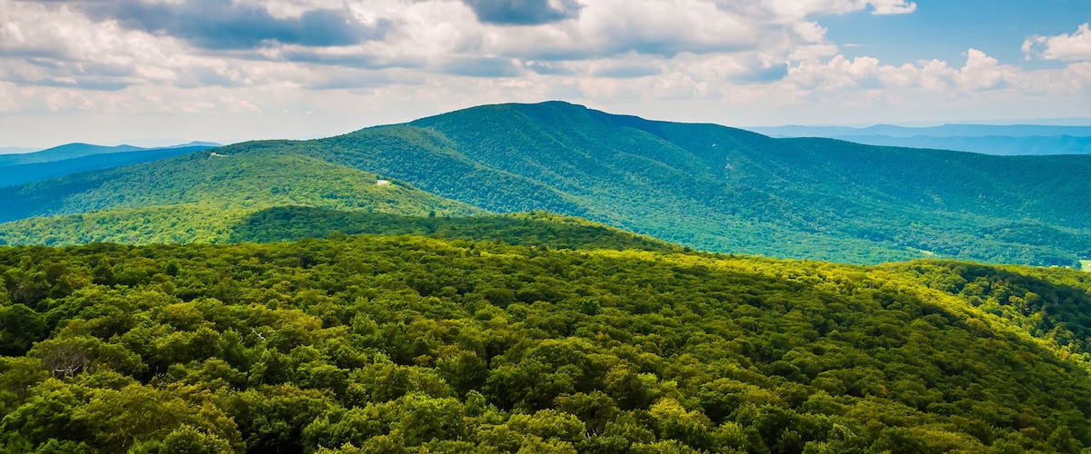 A mountainous landscape with dense green forests and a clear blue sky with fluffy clouds.
