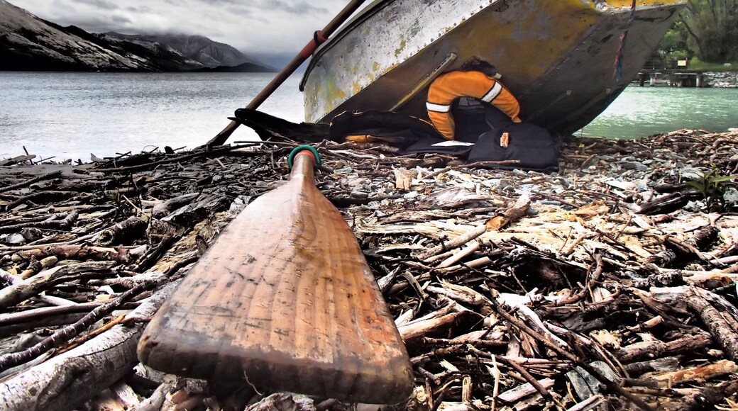 Sometimes a piece of New Zealand "Paradise" is far closer than you think - like this #beach at Kinloch, not far from Glenorchy.
A true #localgem !!!