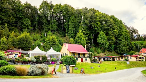 A delightful spot alone at the end of a stunning drive. Gorgeous views, delicious food (kids menu too), comfy beds across a variety of room types and all affordable, even for backpackers. Kitchen available for guests to use but only a small shop to buy food. Fantastic hot tub up the back of the property, perfect for starry nights.
Kayaks for use in summer. Bikes and fishing rods for hire all year. Tree house on the beach. Tons of activities in the area, especially walks.
#KidsFun #NewZealand #ThingsToDoInNewZealand