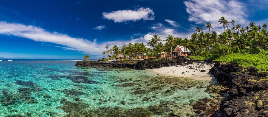 Vibrant tropical beach with palm trees, Upolu, Samoa