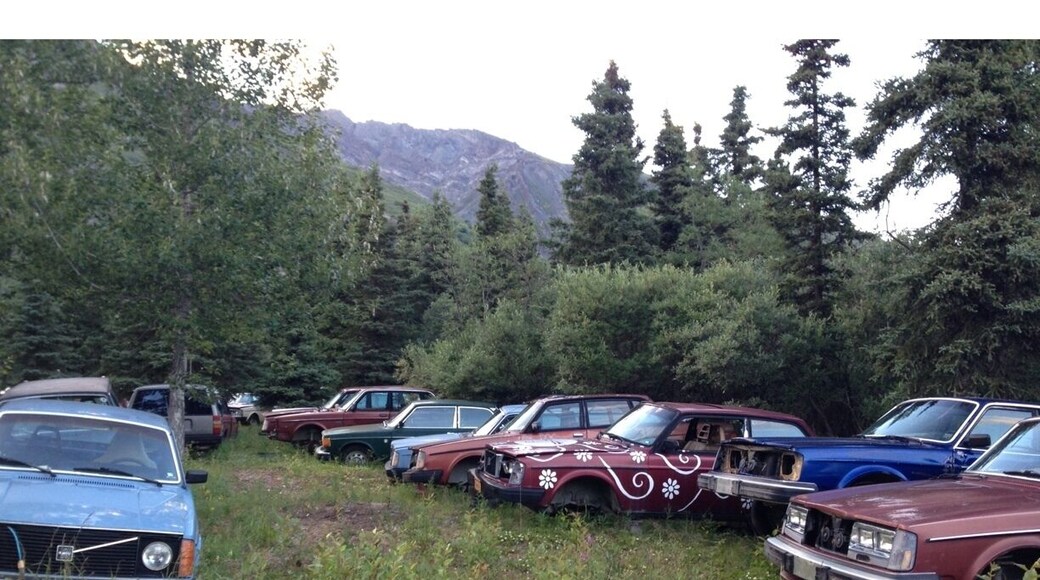 Ancient Volvo burial ground near Sheep Mountain Lodge