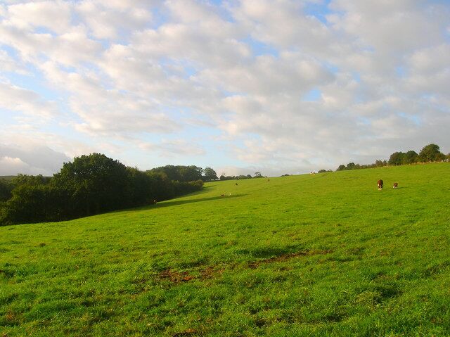 Cow Down Viewed from the bridleway that heads over Newtimber Hill linking Pyecombe to Saddlescombe.