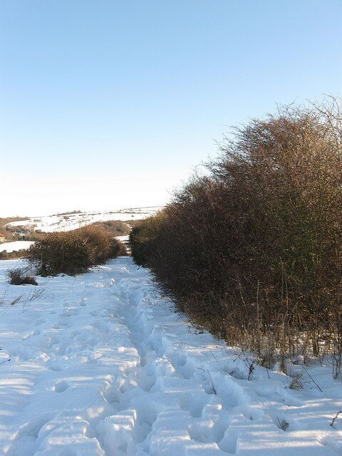 South Downs Way Long distance footpath runs down between the hedges towards Haresdean and the village of Pyecombe. Plenty of drifting snow some of it knee deep.