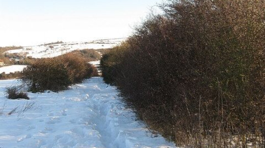 South Downs Way Long distance footpath runs down between the hedges towards Haresdean and the village of Pyecombe. Plenty of drifting snow some of it knee deep.