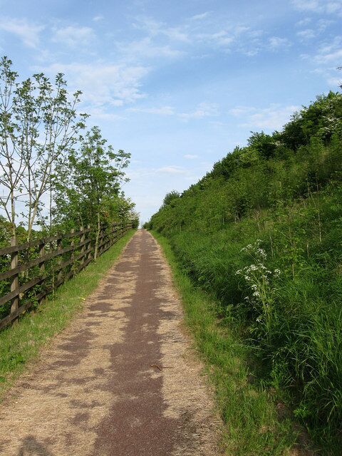 Cycle Lane Part of National Route 20 which follows the A23 here rising up the side of the hill on the west side of the cutting towards the footbridge that leads to Pyecombe.