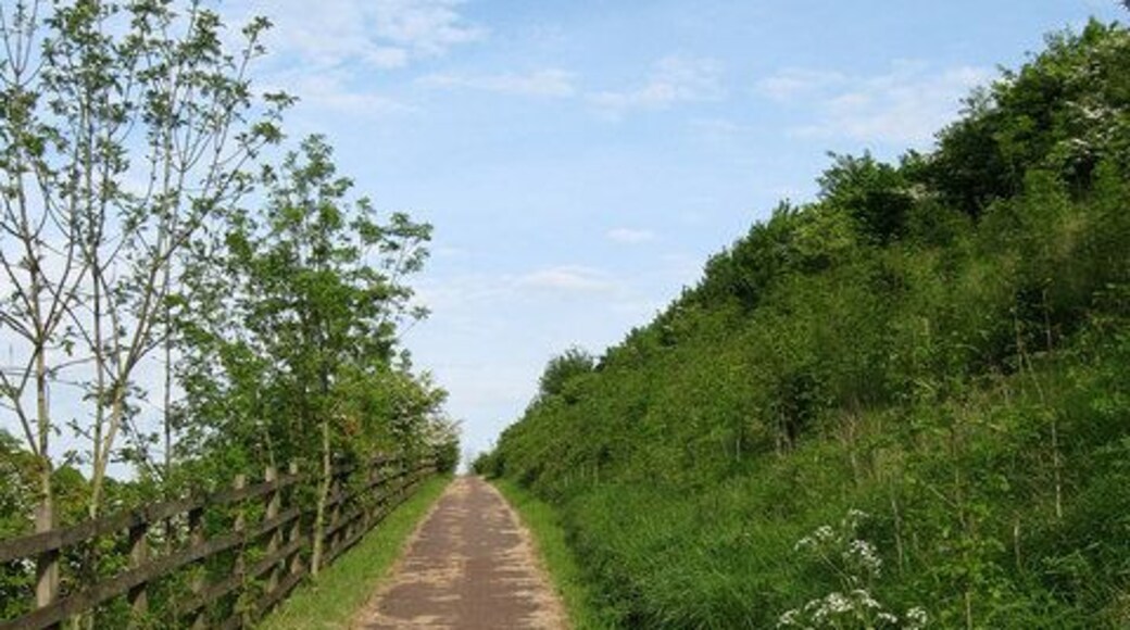 Cycle Lane Part of National Route 20 which follows the A23 here rising up the side of the hill on the west side of the cutting towards the footbridge that leads to Pyecombe.