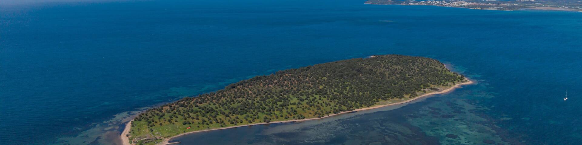 An aerial view of a small island with dense forestation, surrounded by clear blue waters and a distant coastline.