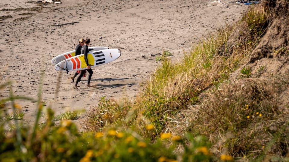 A person carrying a surfboard on a sandy beach with sparse vegetation.
