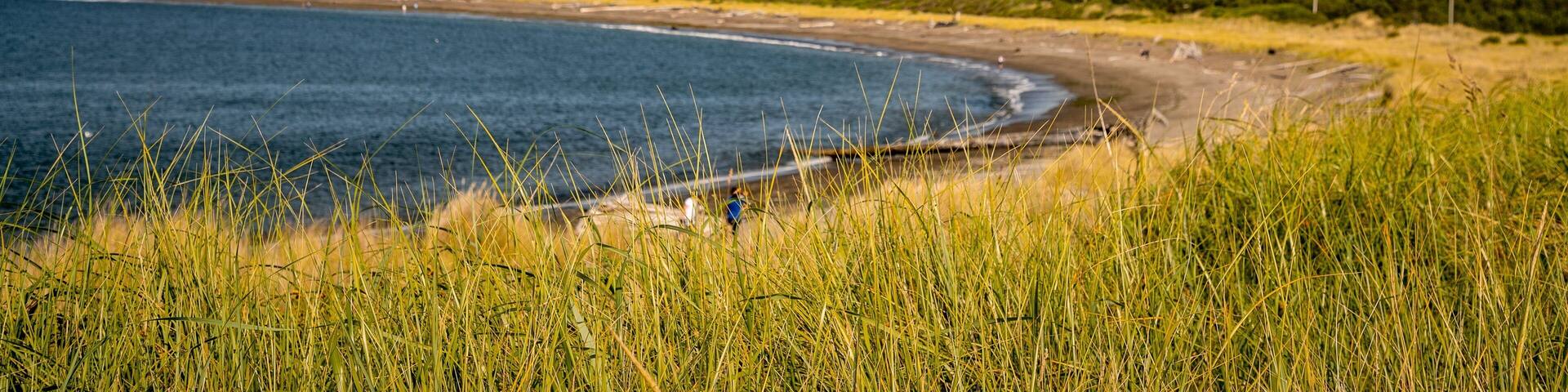 Westport Light State Park featuring general coastal views