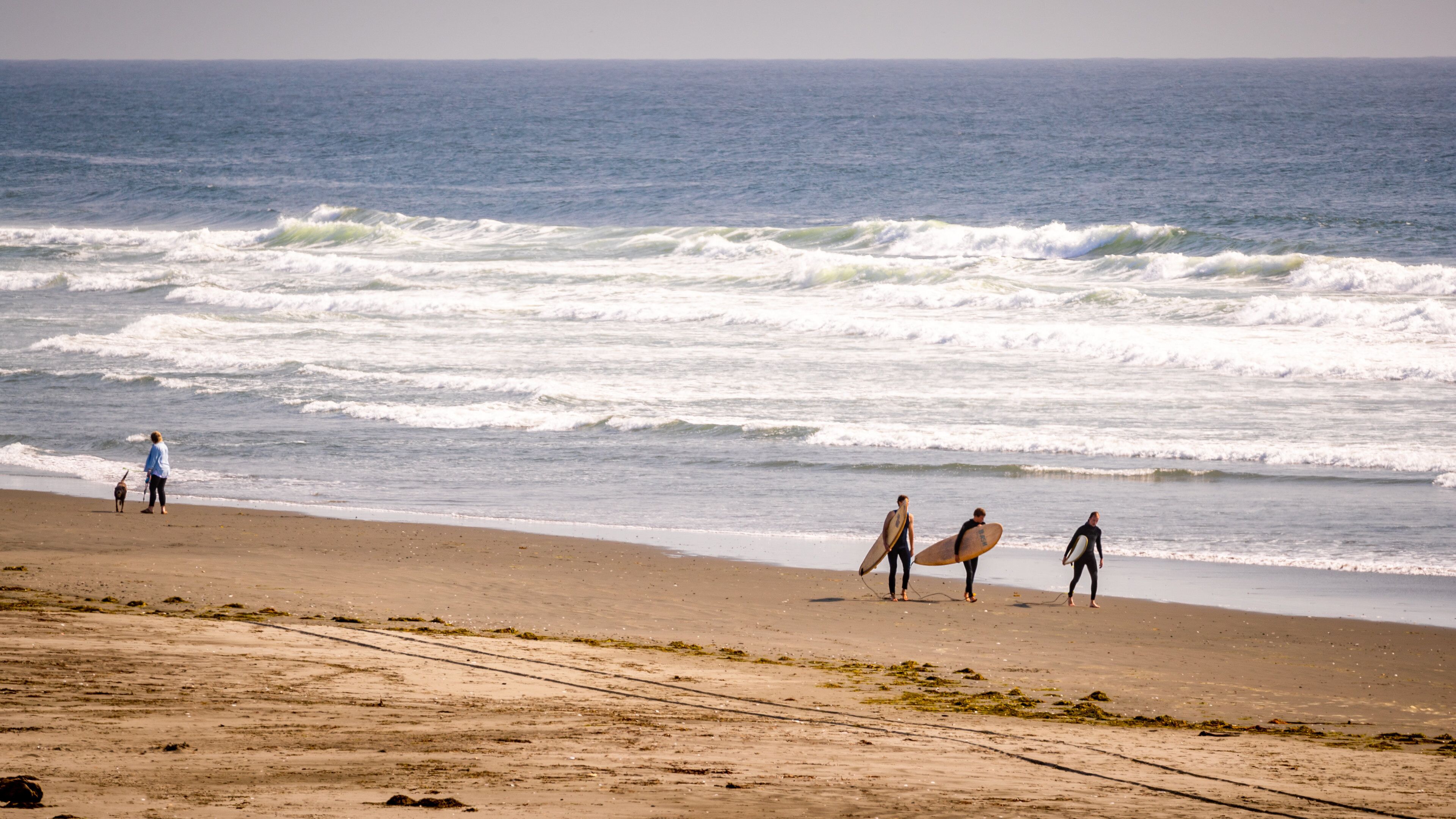Westport Light State Park showing a sandy beach and general coastal views as well as a small group of people