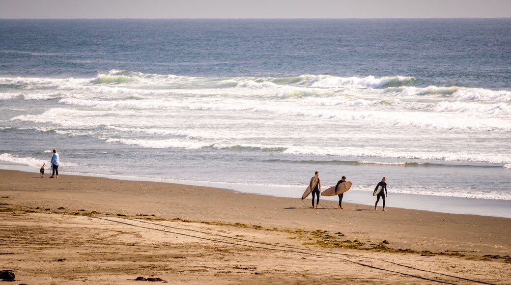 Westport Light State Park showing a sandy beach and general coastal views as well as a small group of people
