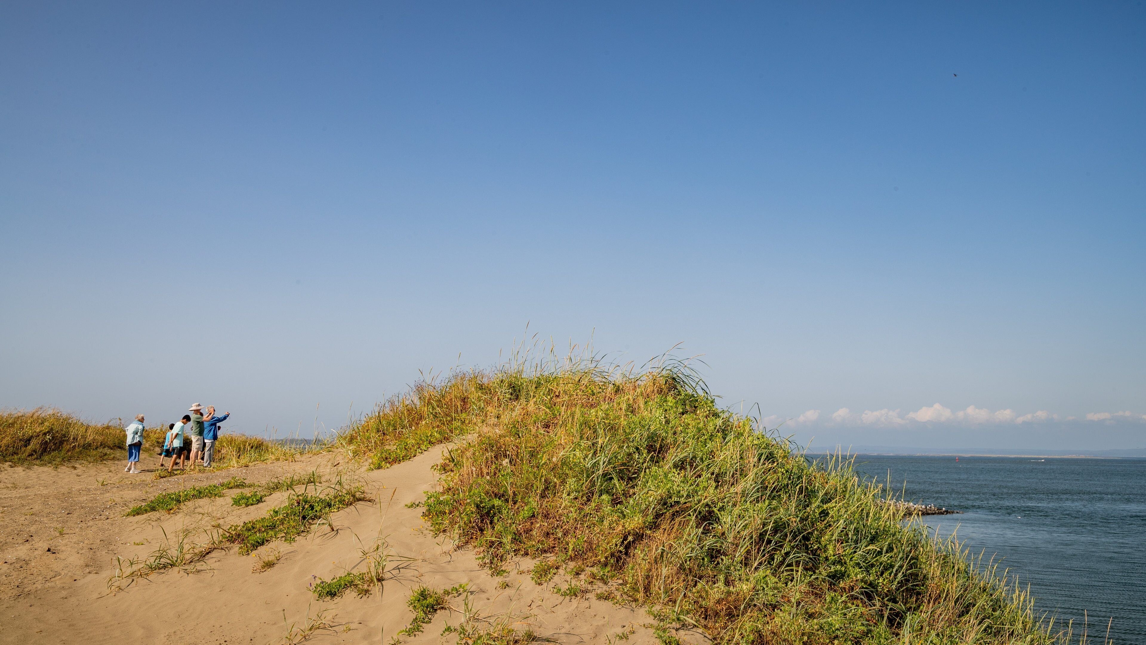 Westport Light State Park featuring general coastal views and a beach as well as a small group of people
