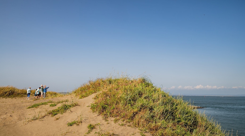 Westport Light State Park featuring general coastal views and a beach as well as a small group of people