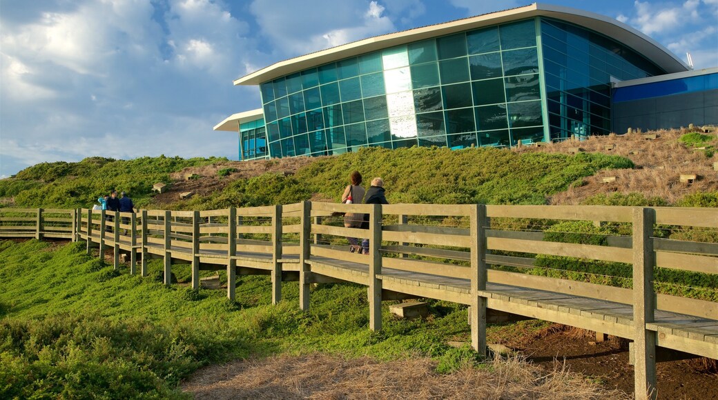 Summerlands featuring modern architecture and tranquil scenes