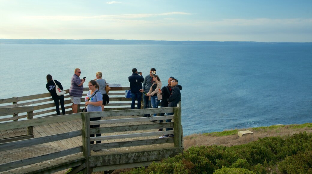 Phillip Island qui includes vues et baie ou port aussi bien que petit groupe de personnes