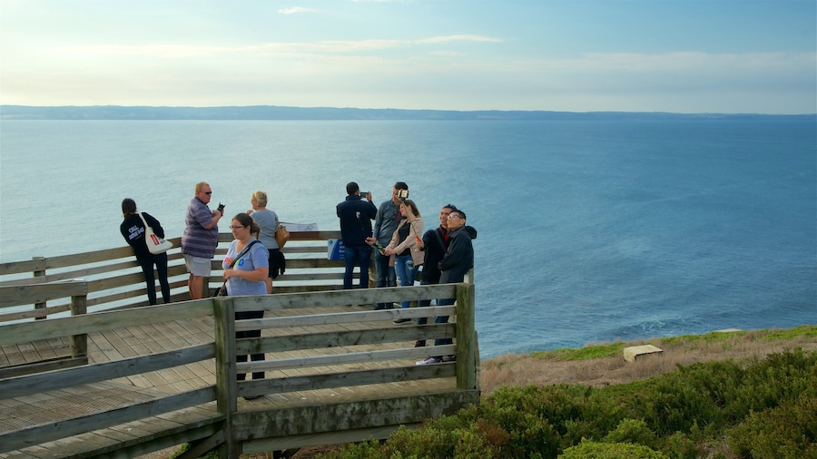 Phillip Island featuring views and a bay or harbor as well as a small group of people