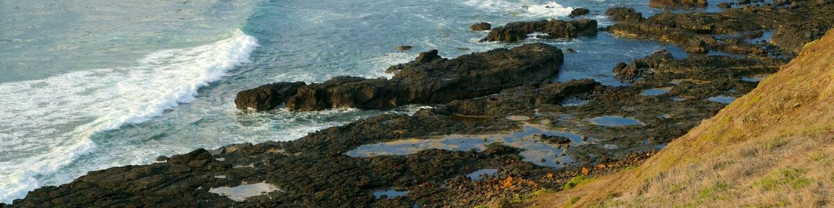 Phillip Island showing rugged coastline