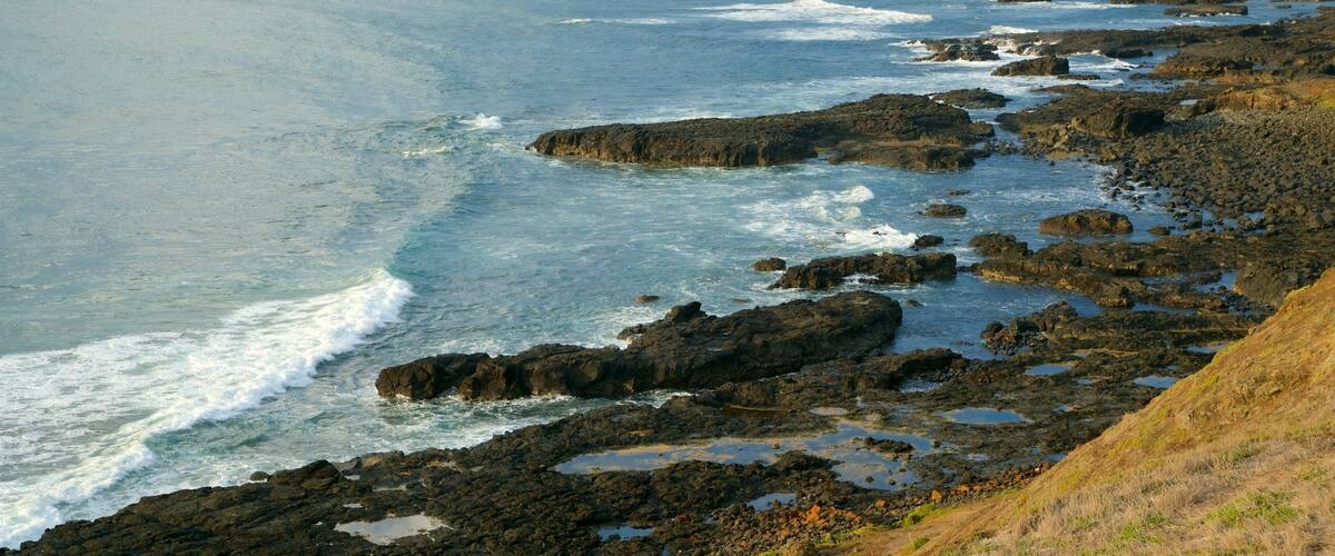 Phillip Island welches beinhaltet schroffe Küste