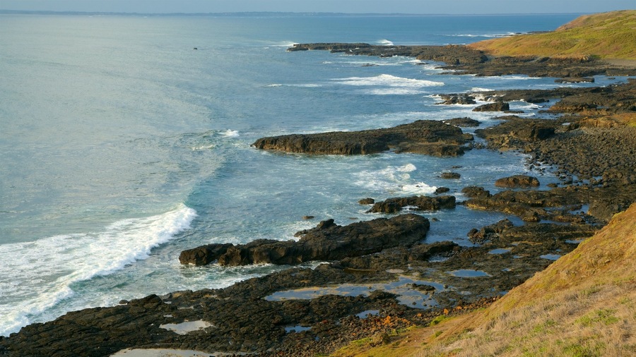 Phillip Island showing rugged coastline