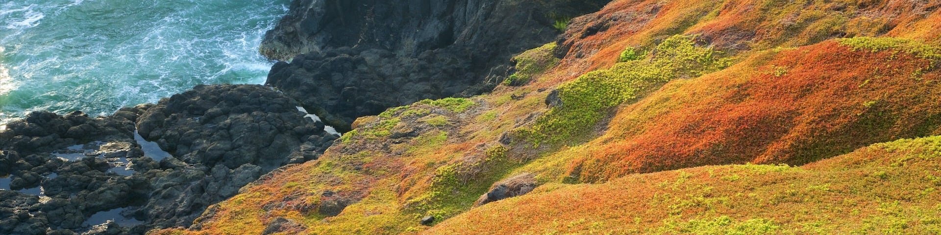 Victoria featuring rugged coastline