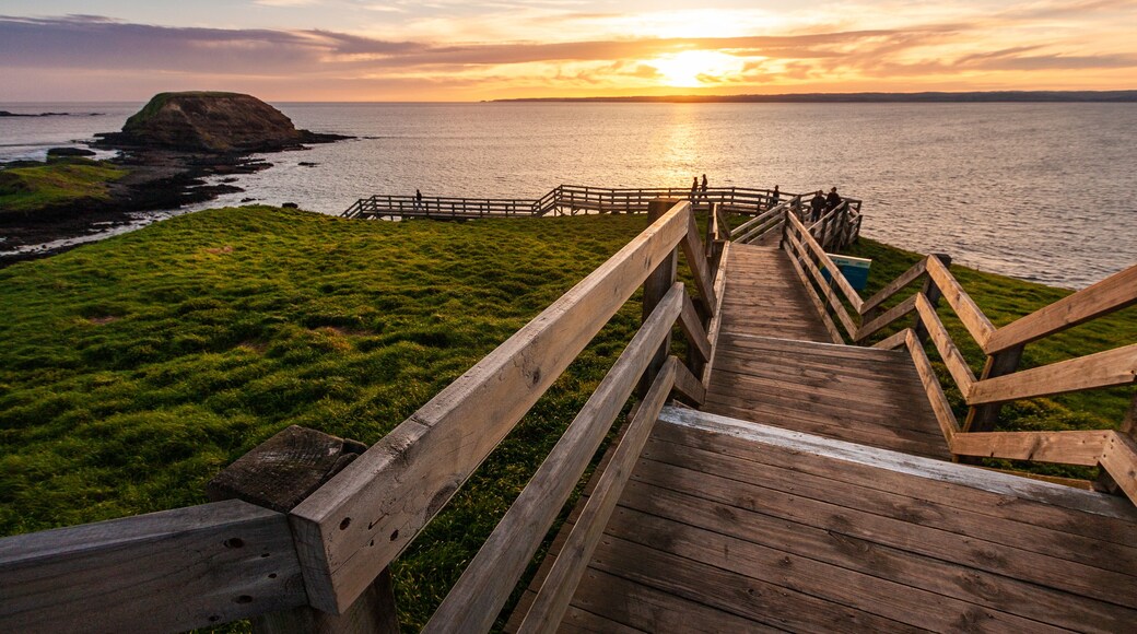 Wood pathway at the Nobbies centre on Phillips island during sunset, Victoria, Australia