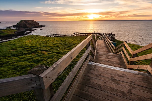 A wooden boardwalk leading to a grassy area with a view of the ocean and a distant island at sunset.