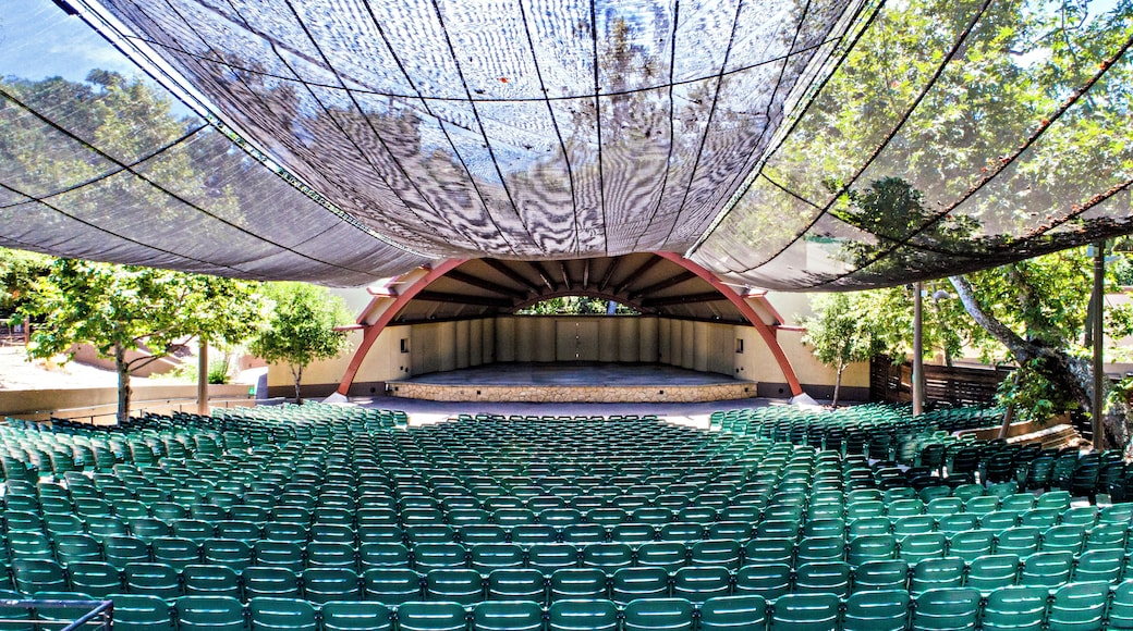 Ojai_LibbeyBowl_553248633843427607-10