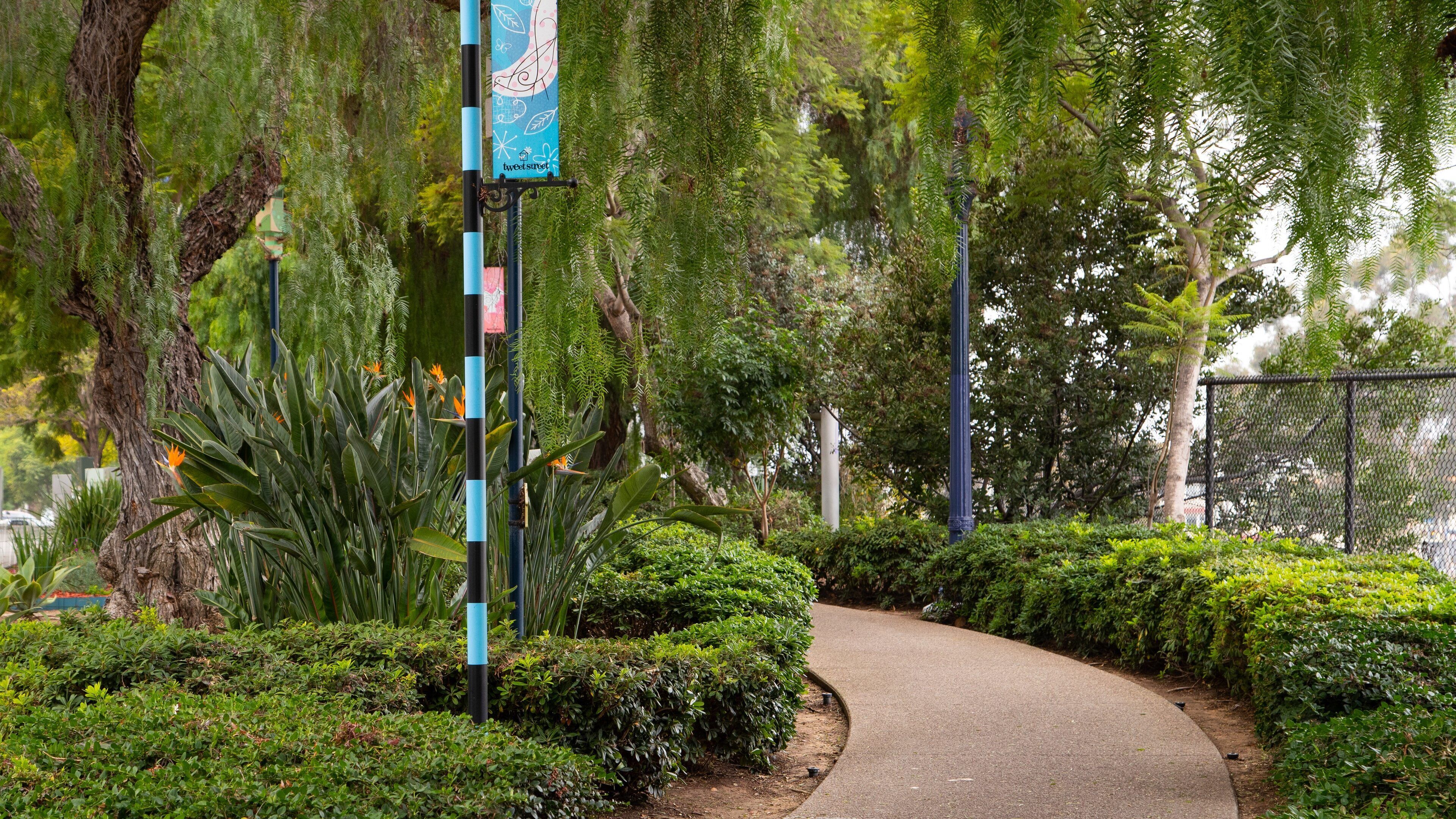 Cortez Hill featuring a garden