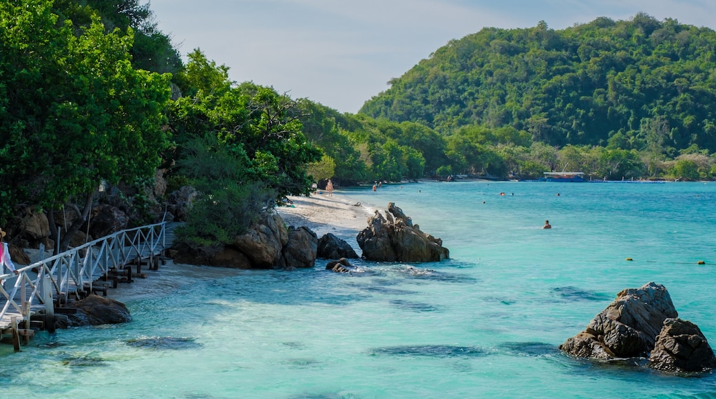 เกาะขาม