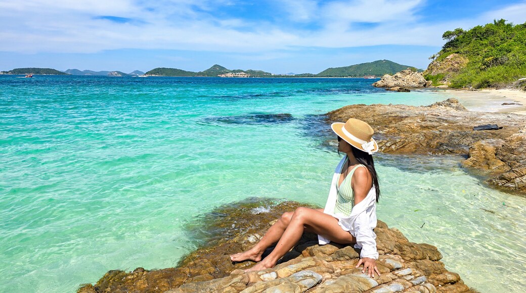 เกาะแสมสาร